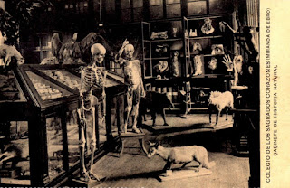 GeoBierzo fósiles y minerales : GABINETES DE HISTORIA NATURAL